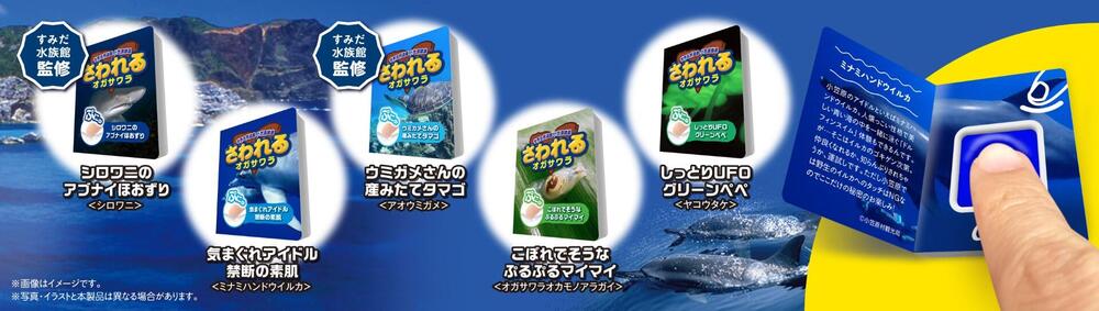 20230919_cccmkhd_ogasawara02.jpg